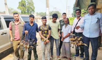 হবিগঞ্জে ২৩টি পাখি উদ্ধার, ৩ শিকারিকে জরিমানা
