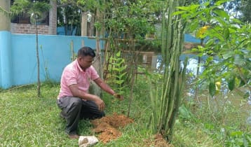 ২৮ বছর ধরে বৃক্ষ রোপণ করছেন চা শ্রমিক বিষ্ণু