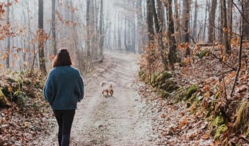 শীতকালে ভোরে নাকি বেলা বাড়লে হাঁটা ভালো?