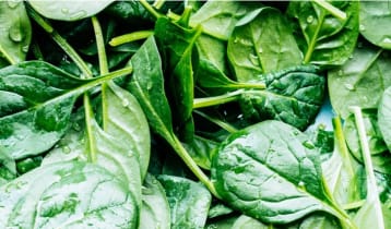 রক্তস্বল্পতা দূর করতে এই শাক খেতে পারেন