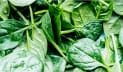 রক্তস্বল্পতা দূর করতে এই শাক খেতে পারেন