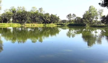 যে পুকুরে ভেসে উঠত সোনার চালুনী