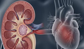 ইউরিক অ্যাসিড নিয়ন্ত্রণে করণীয়