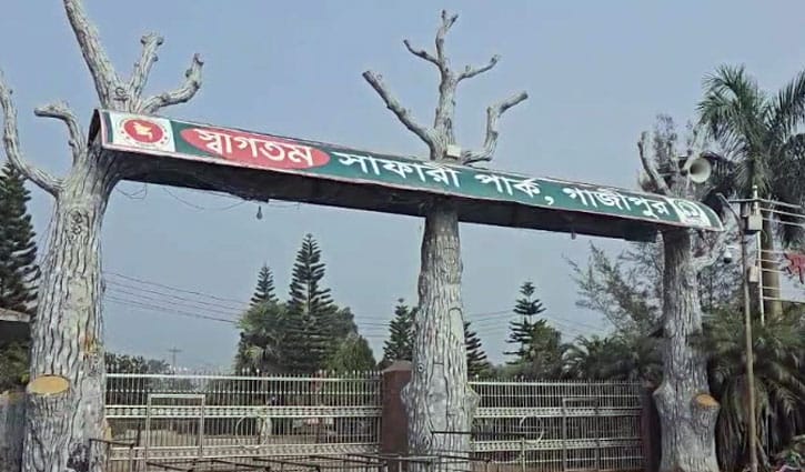 মারা গেল সাফারি পার্কের শেষ জিরাফটিও