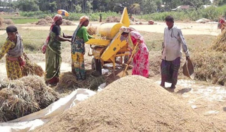 ৩৪ টাকায় ধান, ৫০ টাকায় চাল কিনবে সরকার