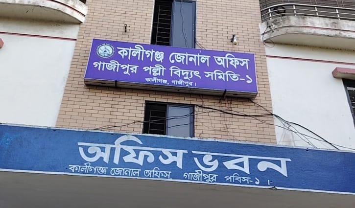 কয়েক মাসের বিদ্যুৎ বিল একসঙ্গে, আর্থিক চাপে কালীগঞ্জের গ্রাহকরা 