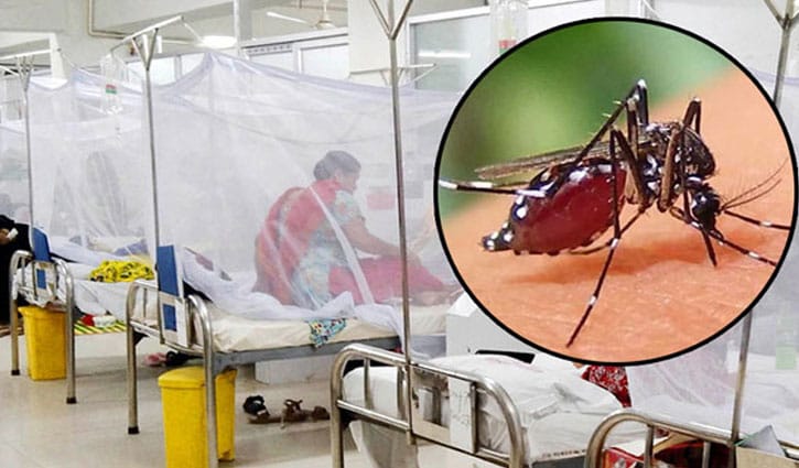 ডেঙ্গু আক্রান্ত ছাড়াল ৬০ হাজার
