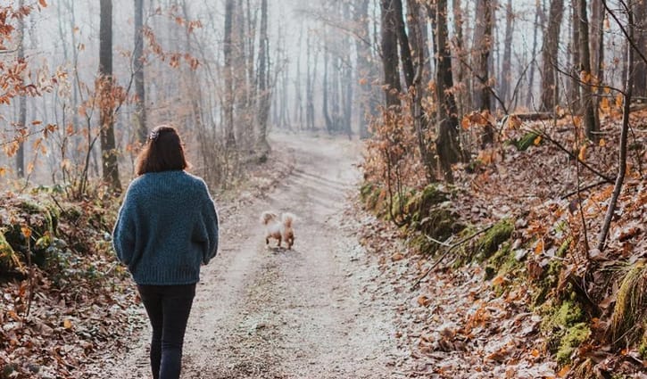শীতকালে ভোরে নাকি বেলা বাড়লে হাঁটা ভালো?