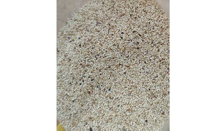 পাখির খাদ্যের আড়ালে পাকিস্তান থেকে পপি বীজ এনে ধরা 