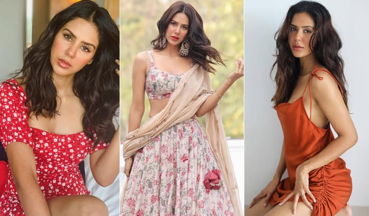 ক্রিকেটারের সঙ্গে প্রেম, গোপনে পাইলটকে নায়িকার বিয়ে!