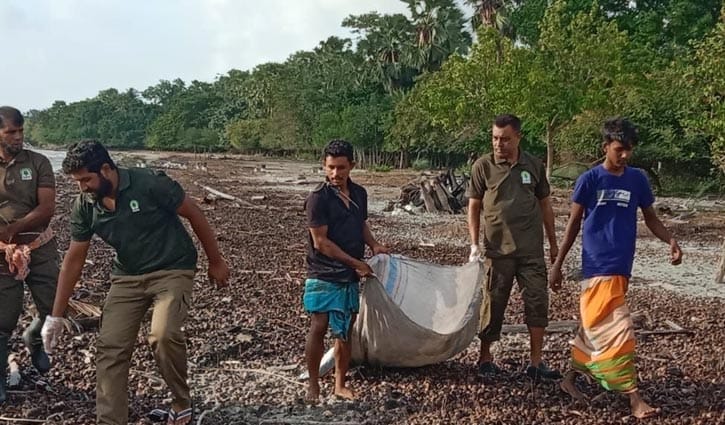সমুদ্র থেকে ভেসে আসা প্লাস্টিকে দূষিত সুন্দরবন