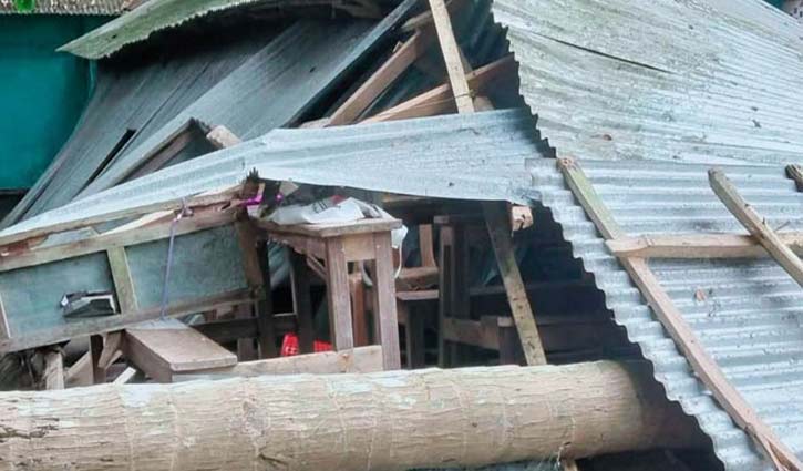 নড়াইলে শ্রেণিকক্ষের উপর গাছ ভেঙে দুই শিক্ষার্থী আহত