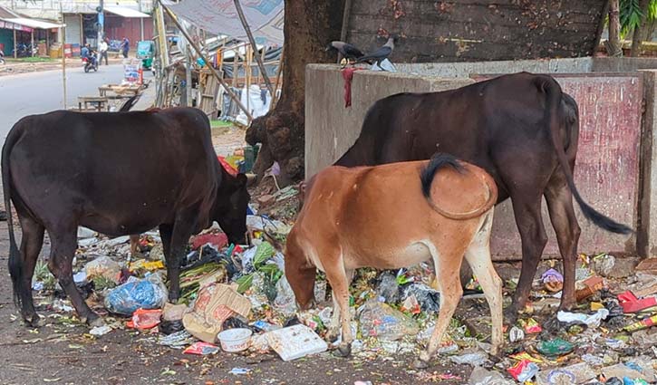 পর্যটন নগরী রাঙামাটিতে ছড়াচ্ছে ময়লার দুর্গন্ধ 
