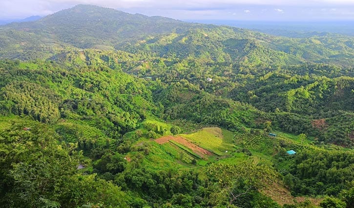 বান্দরবানে ৬ রাবার শ্রমিককে অপহরণের অভিযোগ 