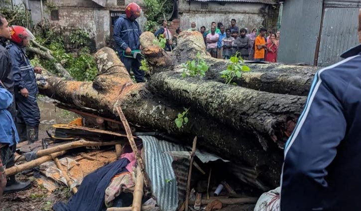 বগুড়ায় ঝড়ে গাছ ভেঙে দোকানির মৃত্যু
