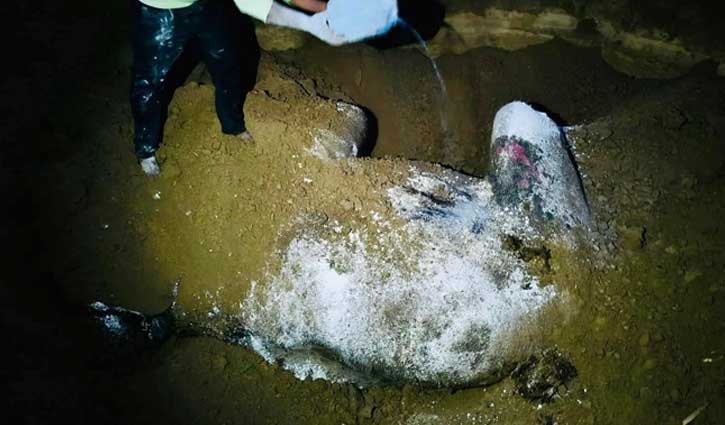 মাটি খুঁড়ে মৃত হাতির মাংস চুরির চেষ্টা