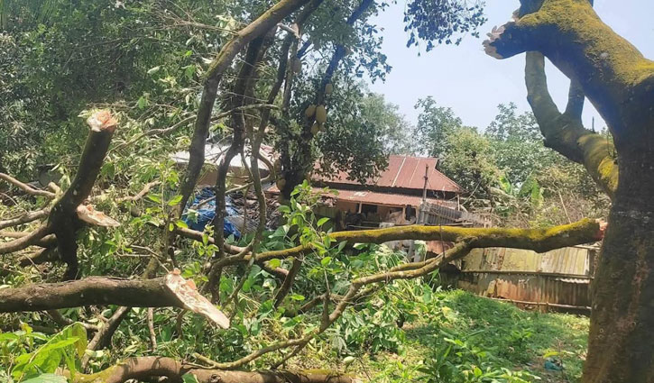 কালবৈশাখীতে বিদ্যুৎহীন শ্রীপুরের তিন গ্রাম  