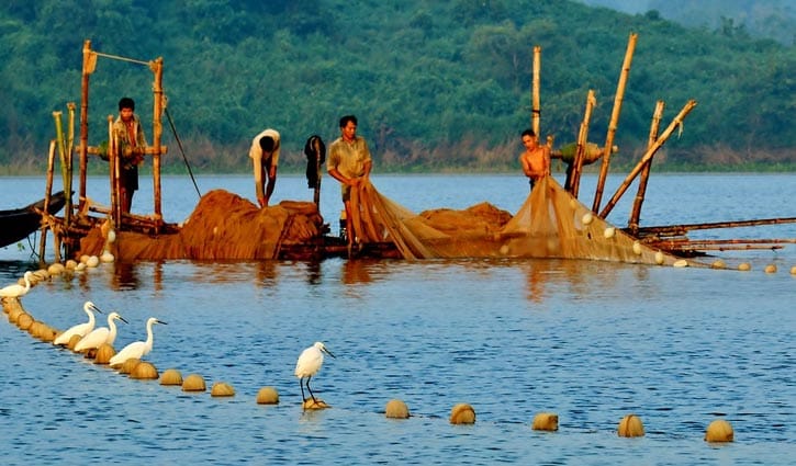 কাপ্তাই হ্রদে মাছ আহরণে নিষেধাজ্ঞা শুরু