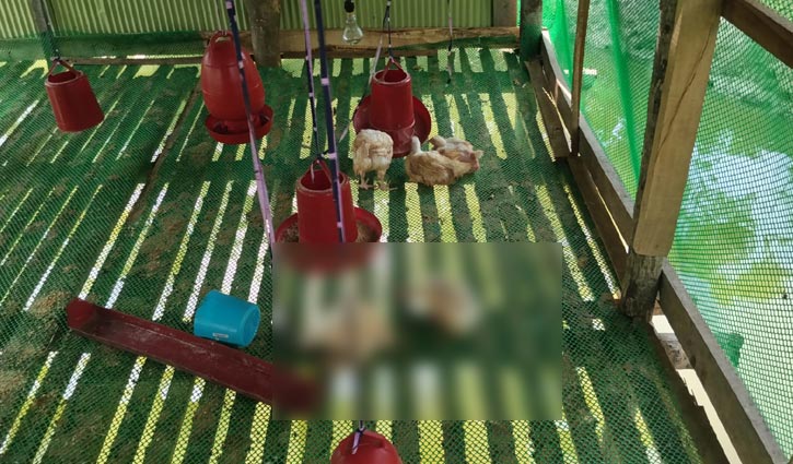 বাগেরহাটে ব্যবসায়ীর বাড়িতে ভাঙচুর-অগ্নিসংযোগের অভিযোগ