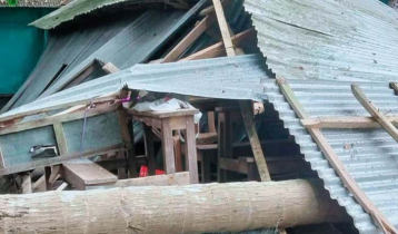 নড়াইলে শ্রেণিকক্ষের উপর গাছ ভেঙে দুই শিক্ষার্থী আহত