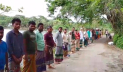 টানা বৃষ্টিতে মুগডাল নষ্ট, ক্ষতিগ্রস্ত কৃষকদের মানববন্ধন