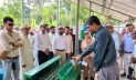 ডিজেলের বদলে সৌরশক্তি, কৃষিতে নতুন সম্ভাবনা দেখাল বাকৃবি