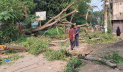 টাঙ্গাইলে ১৪ ঘণ্টায়ও বিদ্যুৎ সঞ্চালন স্বাভাবিক হয়নি