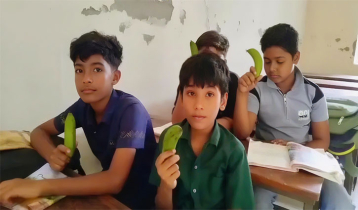টিফিনে কাঁচা কলা বিতরণ, ফরিদপুরে শিক্ষিকা বরখাস্ত