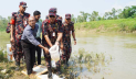 হবিগঞ্জে ২ কোটি টাকার চিংড়ির রেণু উদ্ধার, পরে নদীতে অবমুক্ত