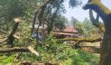 কালবৈশাখীতে বিদ্যুৎহীন শ্রীপুরের তিন গ্রাম  