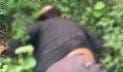 গাজীপুরে মহাসড়কের পাশ থেকে রক্তাক্ত মরদেহ উদ্ধার