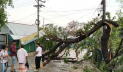 ব্রাহ্মণবাড়িয়ায় কালবৈশাখী ঝড়, ক্ষয়ক্ষতি