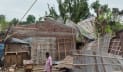 ঝড়ে আম ও ঘরবাড়ির ব্যাপক ক্ষয়ক্ষতি