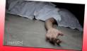 ময়মনসিংহে কৃষককে কুপিয়ে হত্যা