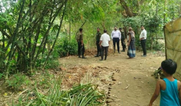 নরসিংদীতে সরকারি রাস্তা কেটে আনারস চাষ, কারাদণ্ড