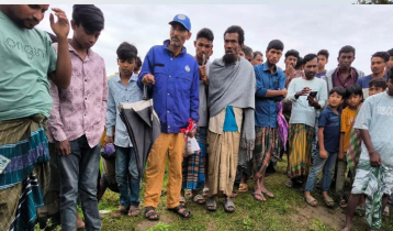 রায়গঞ্জে অটোরিকশা চালকের গলাকাটা মরদেহ উদ্ধার 