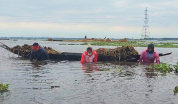 হাওরে ডুবছে ধান, কৃষকের আর্তনাদ