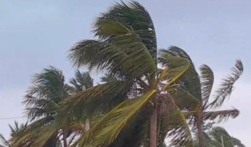 সাগর উত্তাল, পটুয়াখালীতে বৃষ্টির দাপট