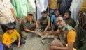 বরগুনার লোকালয় থেকে হরিণ উদ্ধার