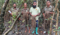 পূর্ব সুন্দরবনে বেড়েছে বাঘ-হরিণসহ বন্যপ্রাণী 