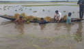 হাওর অঞ্চলে কৃষক সংকট: জরুরি রাষ্ট্রীয় হস্তক্ষেপ দাবি