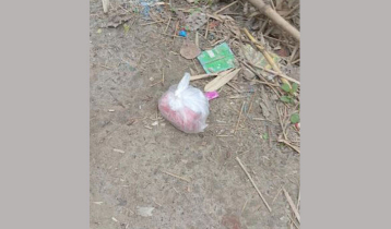 গাংনীতে বোমা সদৃশ বস্তু ও চিরকুট উদ্ধার