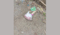 গাংনীতে বোমা সদৃশ বস্তু ও চিরকুট উদ্ধার
