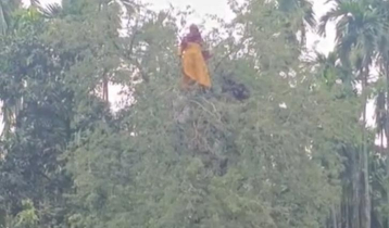 তেঁতুল গাছের মগডালে নারী, পরে পুকুরে লাফ