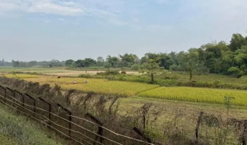 পঞ্চগড় সীমান্ত থেকে দুই কিশোরকে ধরে নিয়ে গেছে বিএসএফ