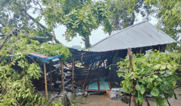 জামালপুরে ঝড়ে গাছচাপায় ঘুমন্ত মা ও দুই মেয়ের মৃত্যু
