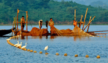 তিন মাস মাছ ধরা যাবে না কাপ্তাই হ্রদে 