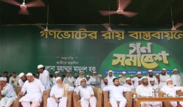 ৫০ বছরের রাজনীতির সাথে বিশ্বাসঘাতকতা করবেন না: মামুনুল হক