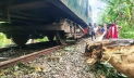 নীলফামারীতে ট্রেনের ইঞ্জিন লাইনচ্যুত, ট্রেন চলাচল বন্ধ