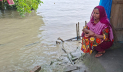 রেখামারীর কান্নার শব্দ মিলায় পশুর নদীর ঢেউয়ে! 